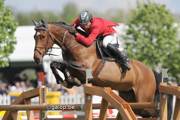 Withney VD Dwerse Hagen Withney VD Dwerse Hagen